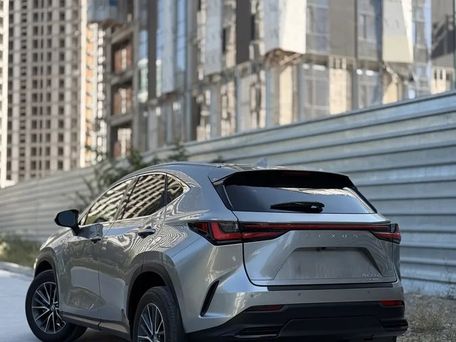 Lexus NX, 2023 — фото 6