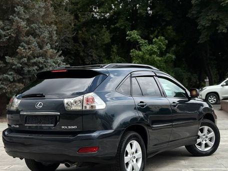 Lexus RX, 2005 — фото 11