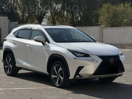 Lexus NX, 2018 — сүрөт 1