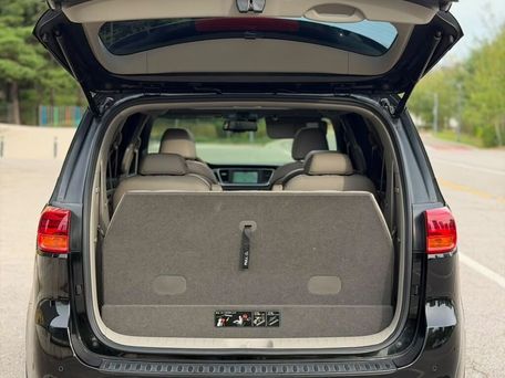 Kia Carnival, 2019 — сүрөт 13