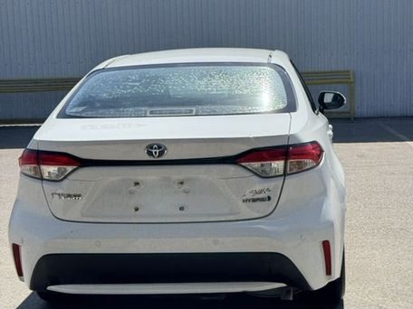 Toyota Levin, 2022 — photo 5