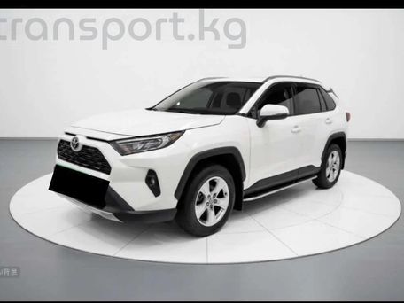 Toyota RAV4, 2025 — фото 1
