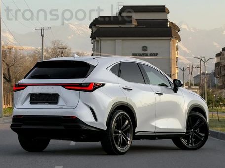 Lexus NX, 2023 — сүрөт 4