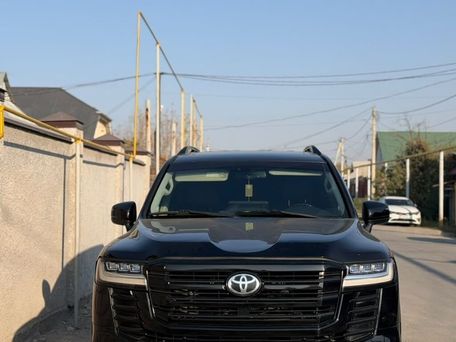 Toyota Land Cruiser, 2008 — 照片 1