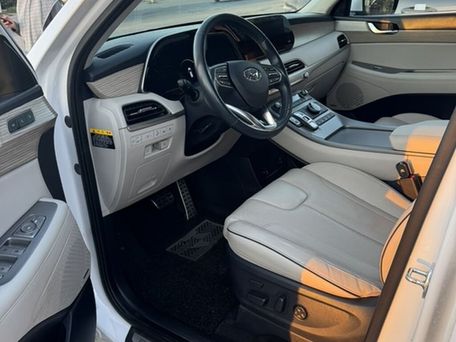 Hyundai Palisade, 2020 — 照片 7