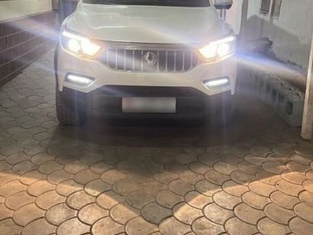 SsangYong Rexton, 2020 — 照片 2