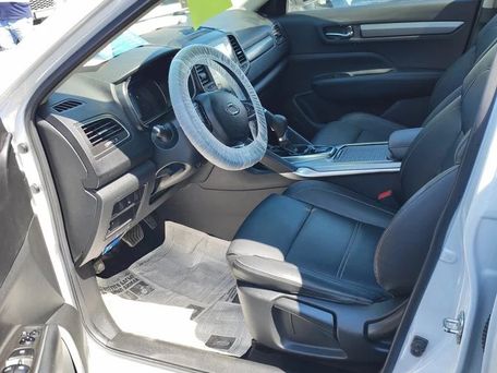 Renault Samsung QM6, 2019 — фото 2