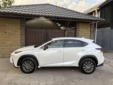 Lexus NX, 2018 — фото 3
