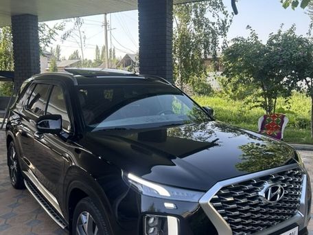 Hyundai Palisade, 2020 — 照片 12