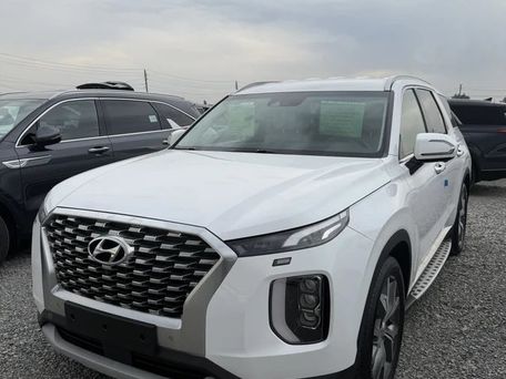 Hyundai Palisade, 2020