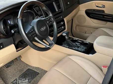 Kia Carnival, 2020 — фото 4