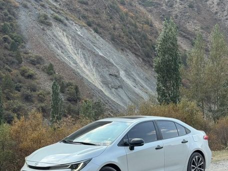 Toyota Levin, 2020 — сүрөт 2