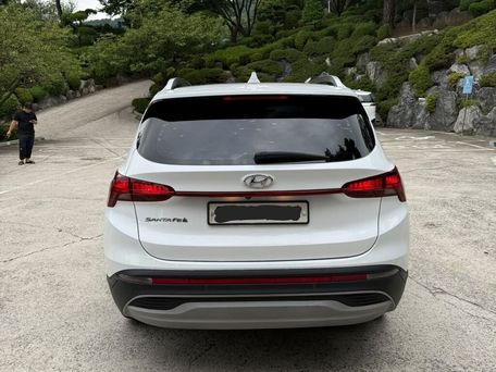 Hyundai Santa Fe, 2020 — фото 4