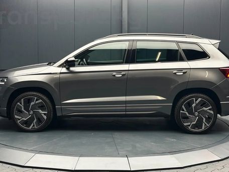 Skoda Karoq, 2024 — сүрөт 19