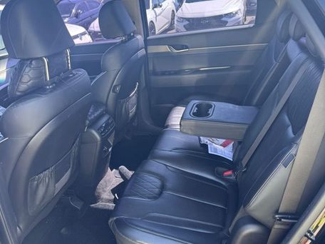 Hyundai Palisade, 2019 — photo 12