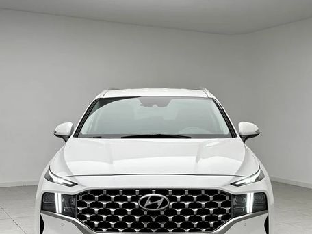 Hyundai Santa Fe, 2022 — фото 1
