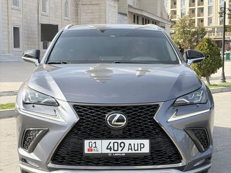 Lexus NX, 2019 — фото 1