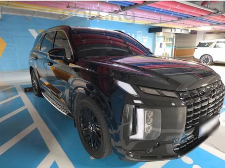 Hyundai Palisade, 2023 — photo 4