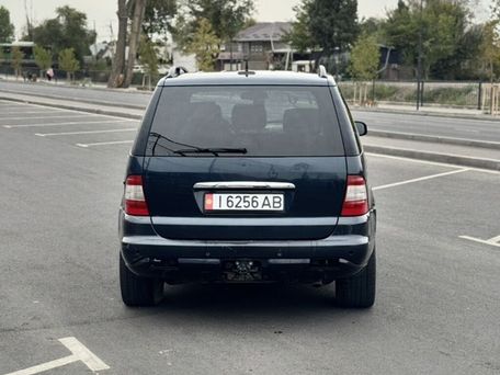 Mercedes-Benz M-Класс, 2003 — фото 8