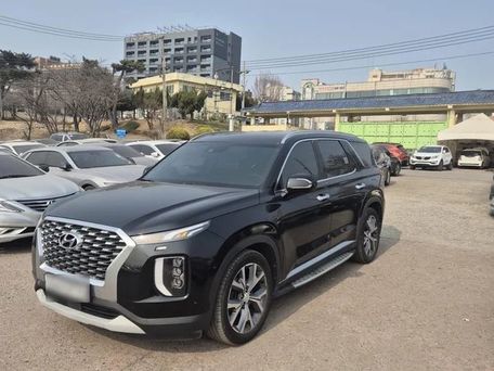 Hyundai Palisade, 2020 — photo 2