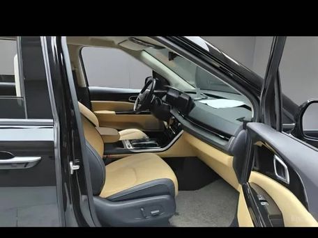 Kia Carnival, 2022 — 照片 11