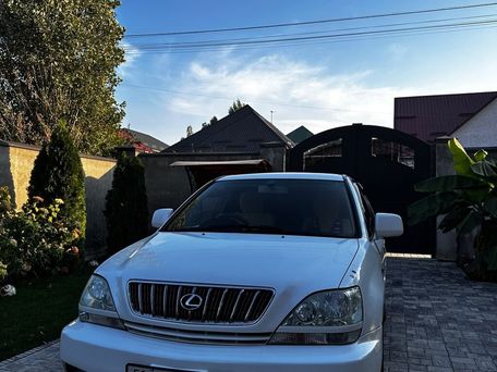 Lexus RX, 2002 — 照片 2