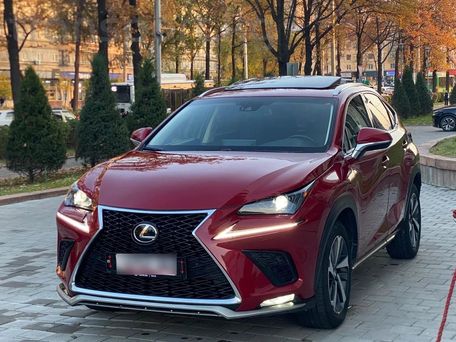 Lexus NX, 2018 — фото 1