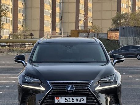 Lexus NX, 2019 — сүрөт 2