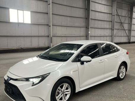 Toyota Levin, 2020 — сүрөт 6