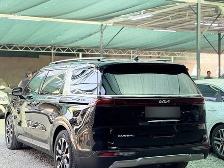 Kia Carnival, 2020 — фото 6