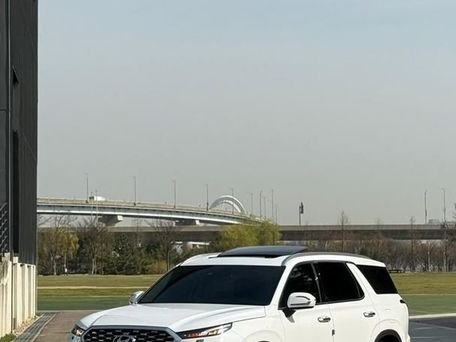 Hyundai Palisade, 2019 — фото 8