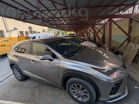 Lexus NX, 2017 — 照片 2