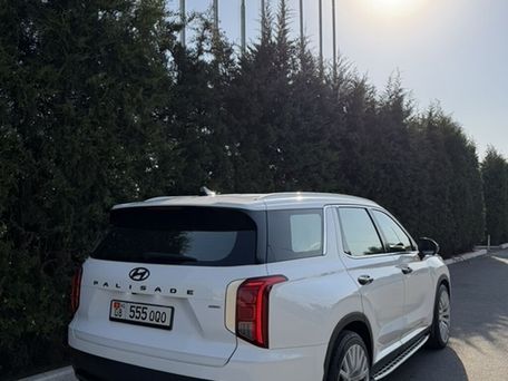 Hyundai Palisade, 2020 — 照片 3