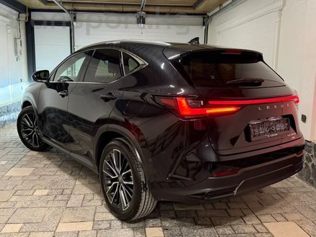 Lexus NX, 2022 — photo 7