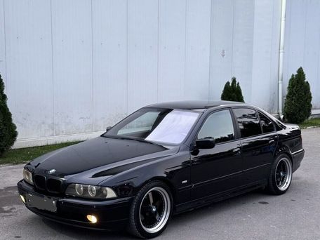 BMW 5 серии, 2002 — 照片 2