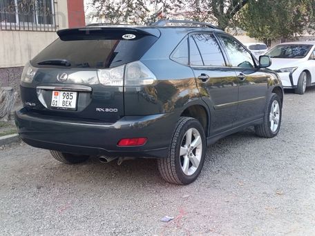 Lexus RX, 2004 — 照片 5