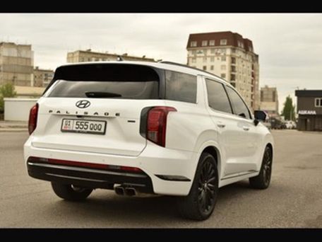 Hyundai Palisade, 2023 — photo 12