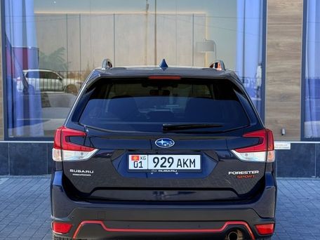 Subaru Forester, 2020 — фото 5