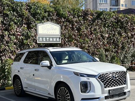 Hyundai Palisade, 2020 — фото 2