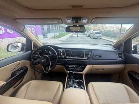 Kia Carnival, 2019 — фото 10