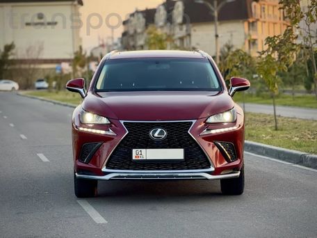 Lexus NX, 2016 — photo 3