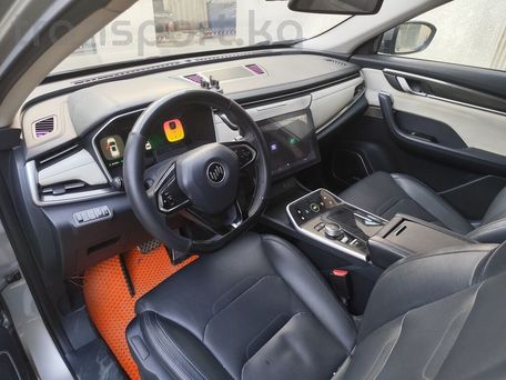 Weltmeister EX5, 2020 — photo 8