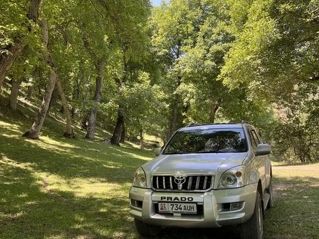 Toyota Land Cruiser Prado, 2003 — 照片 4