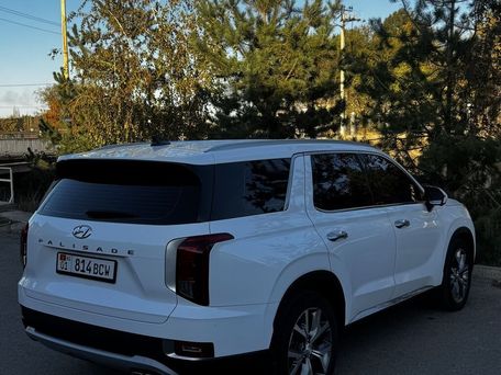 Hyundai Palisade, 2022 — сүрөт 4