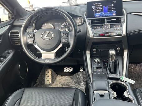 Lexus NX, 2020 — фото 14