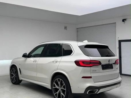 BMW X5, 2018 — фото 6