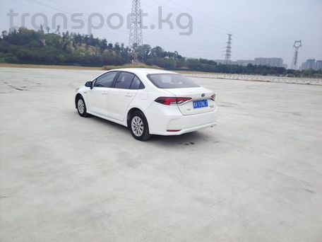 Toyota Corolla, 2021 — 照片 5
