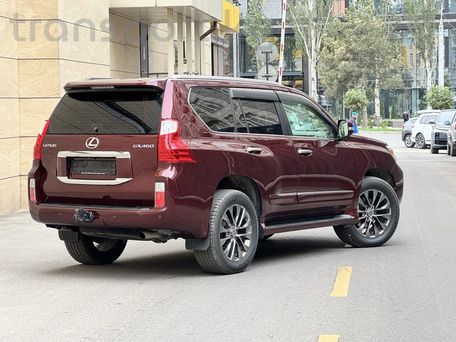 Lexus GX, 2009 — photo 3