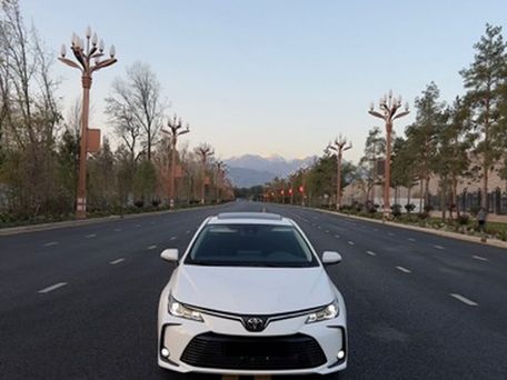 Toyota Corolla, 2024 — photo 1