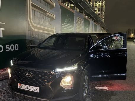 Hyundai Santa Fe, 2019 — photo 12